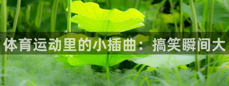 制胜体育篮球直播在线观看