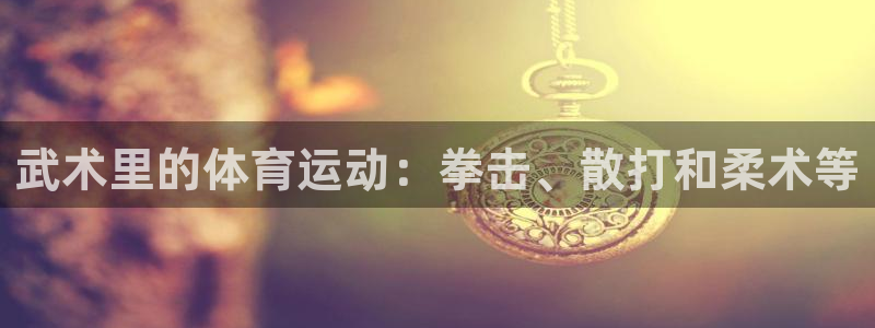 制胜体育软件：武术里的体育运动：拳击、散打和柔术等