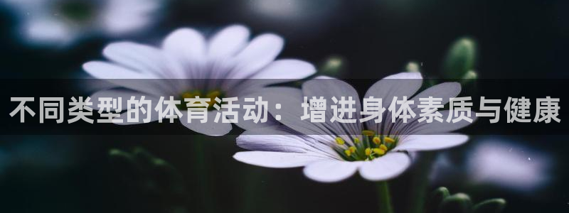 制胜体育下载官：不同类型的体育活动：增进身体素质与健康