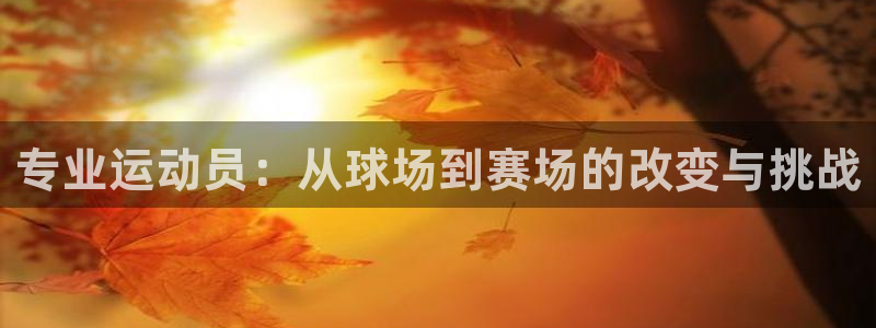 制胜体育官网