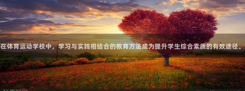 制胜体育新版本官网